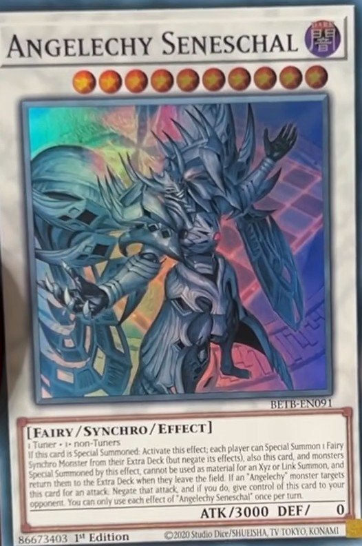 Angelechy Seneschal