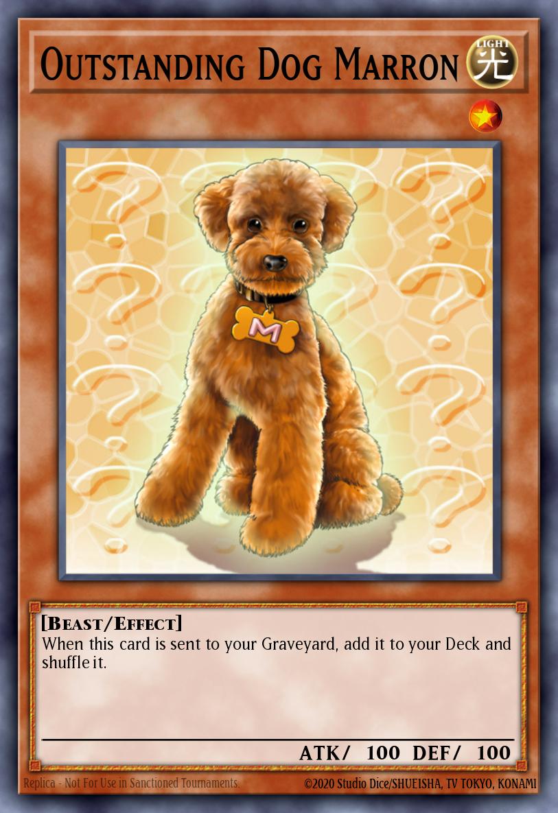 Perro Marron Excelente