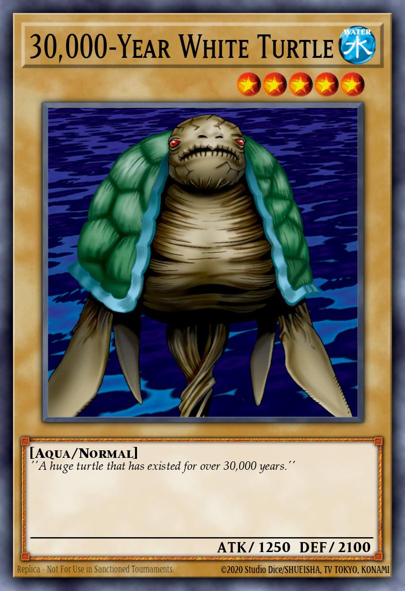 Tortuga blanca 30,000-year