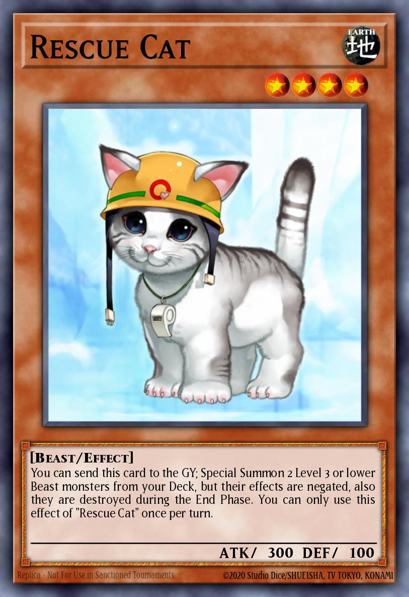 Gato Rescatador