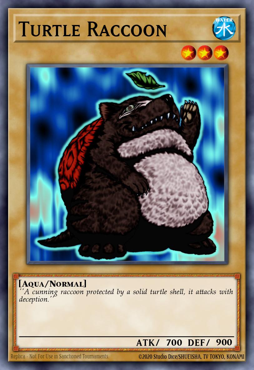 Mapache de tortuga