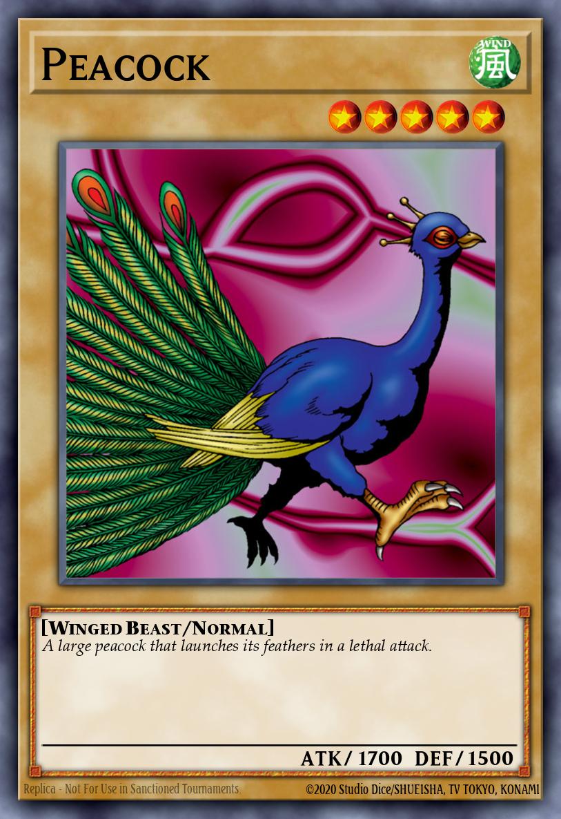 Pavo Real