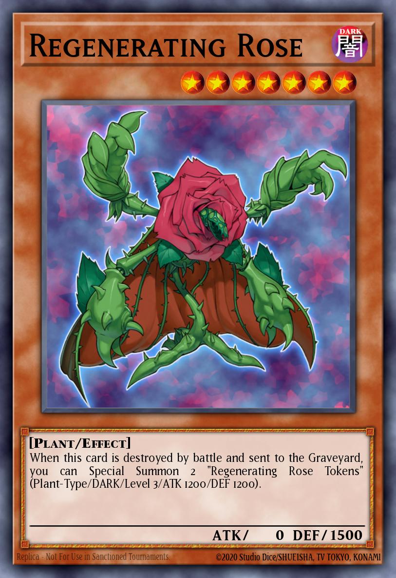 Rosa Regeneradora