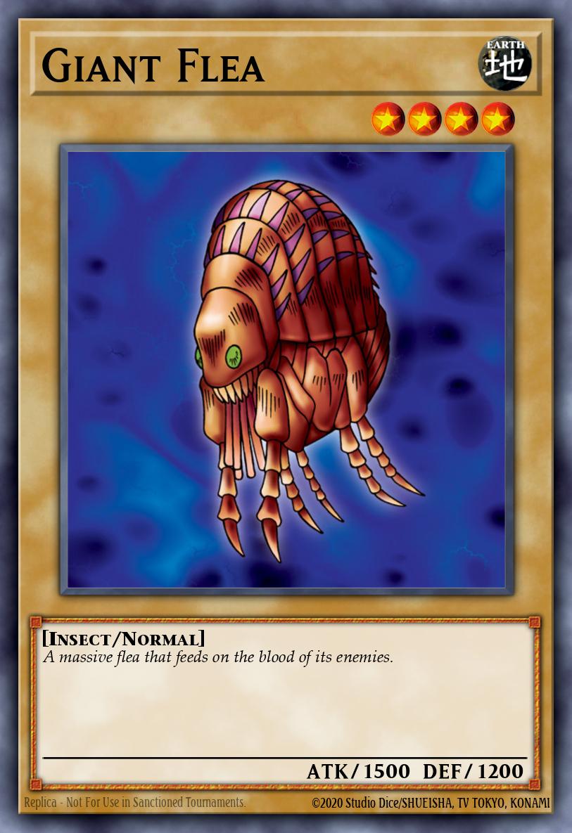 Pulga Gigante