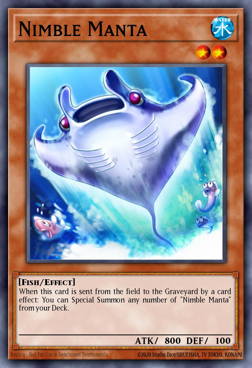 Manta Ágil