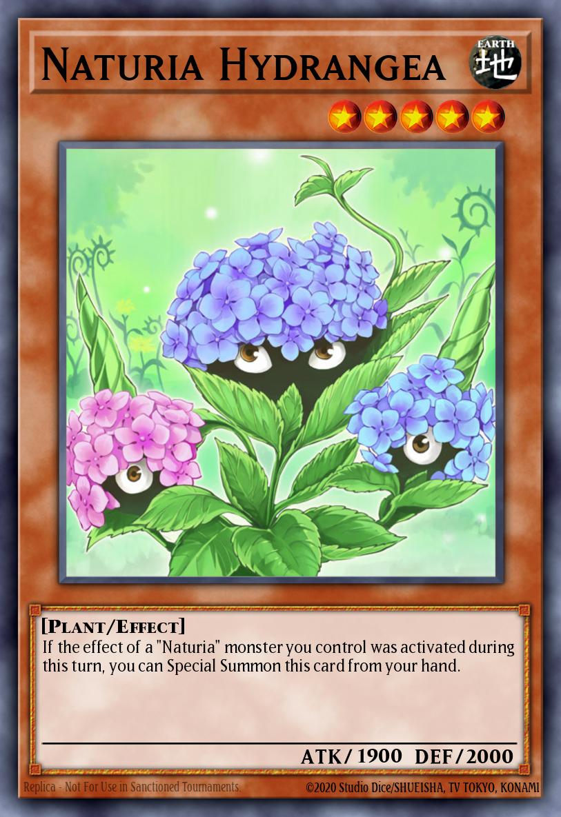Hortensia Naturia