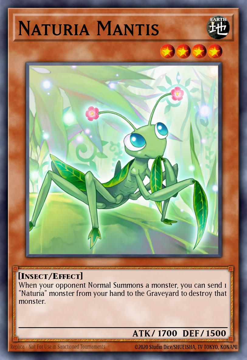 Mantis Naturia