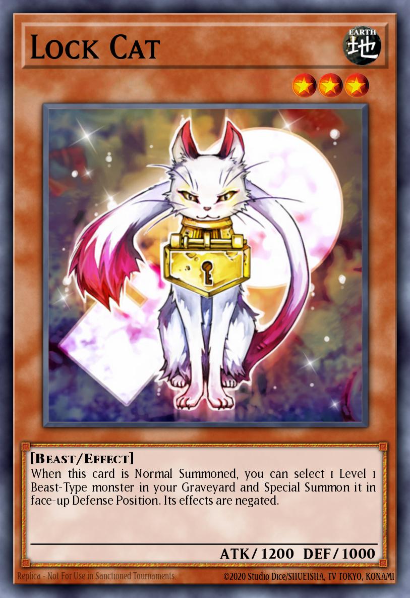 Gato Cerradura