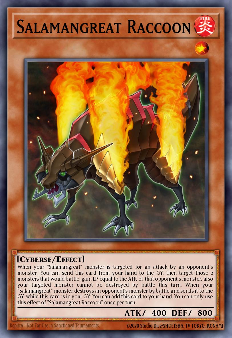 Salamangrande Mapache