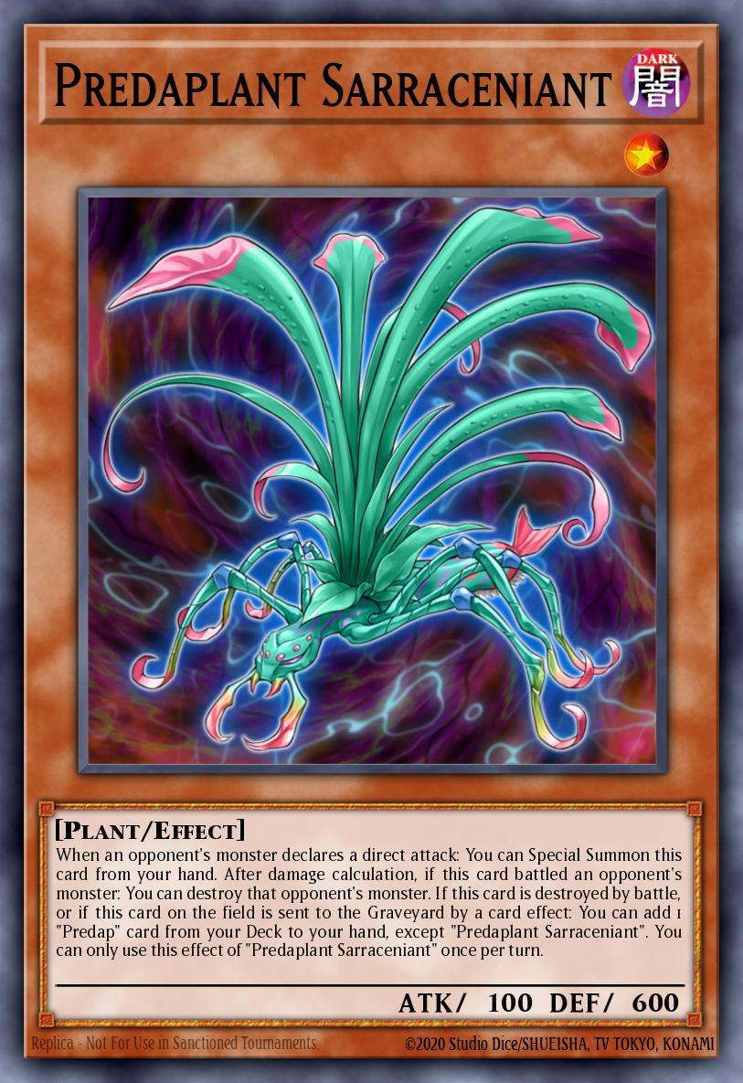 Predaplanta Sarracemiga