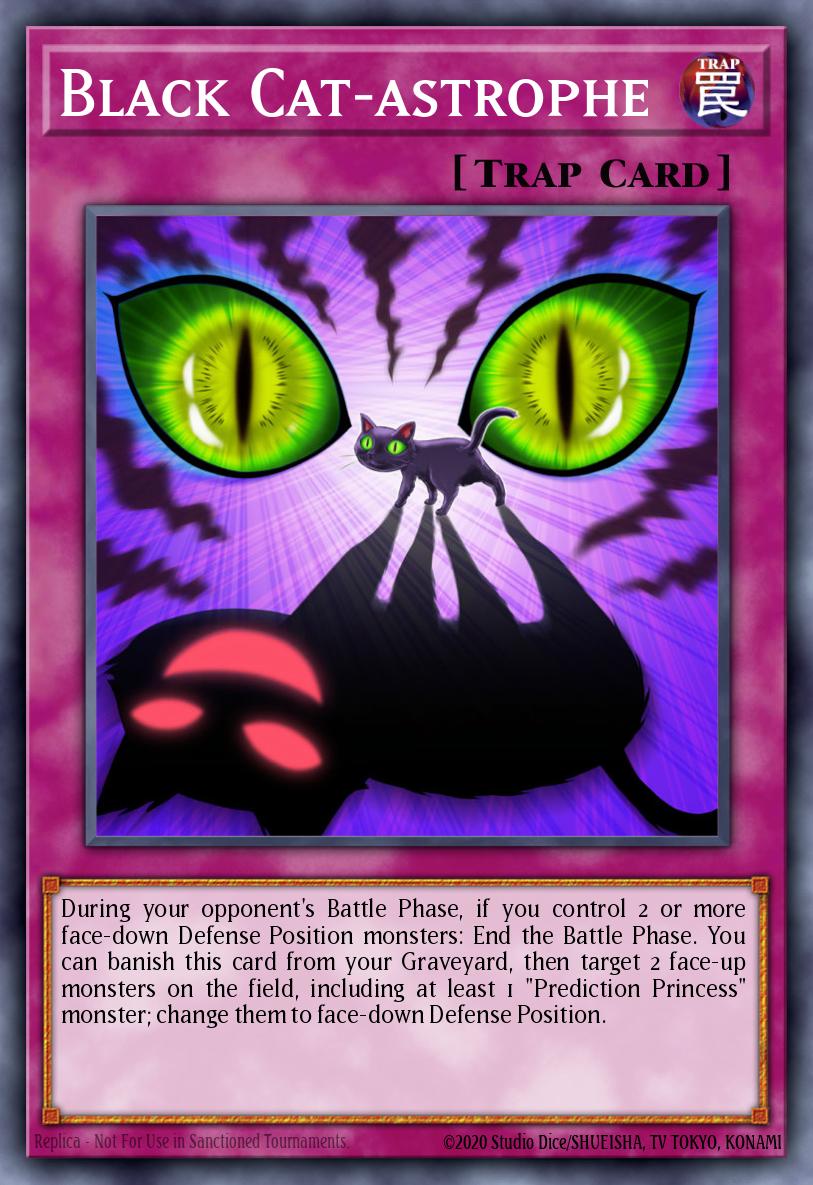 Catástrofe de Gato Negro
