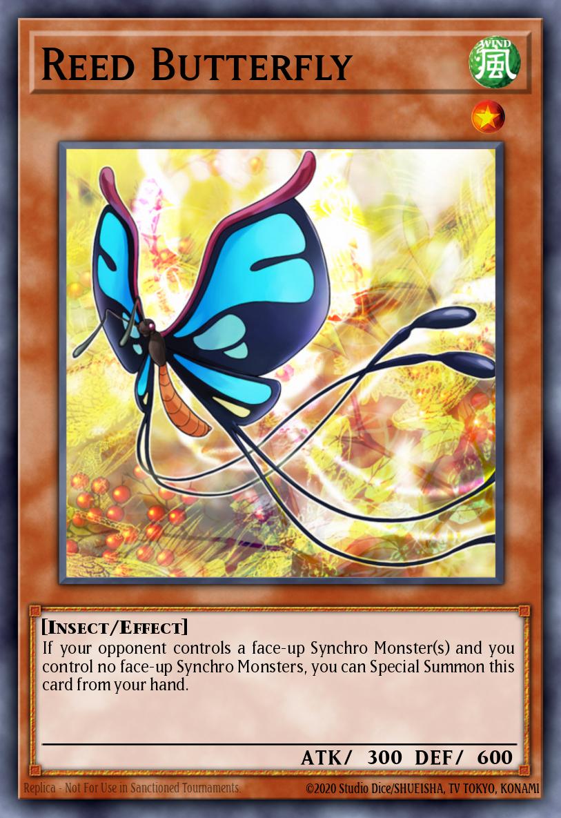 Mariposa de los Juncos