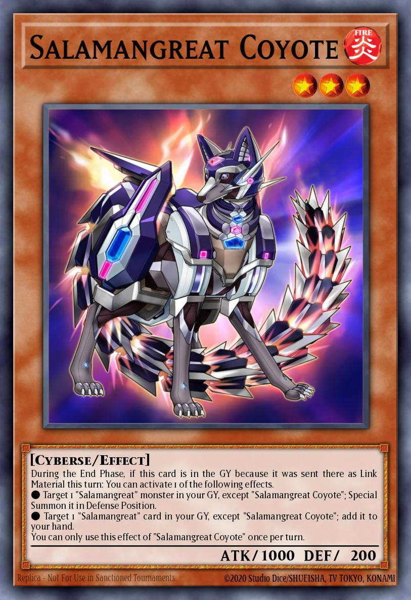 Salamangrande Coyote