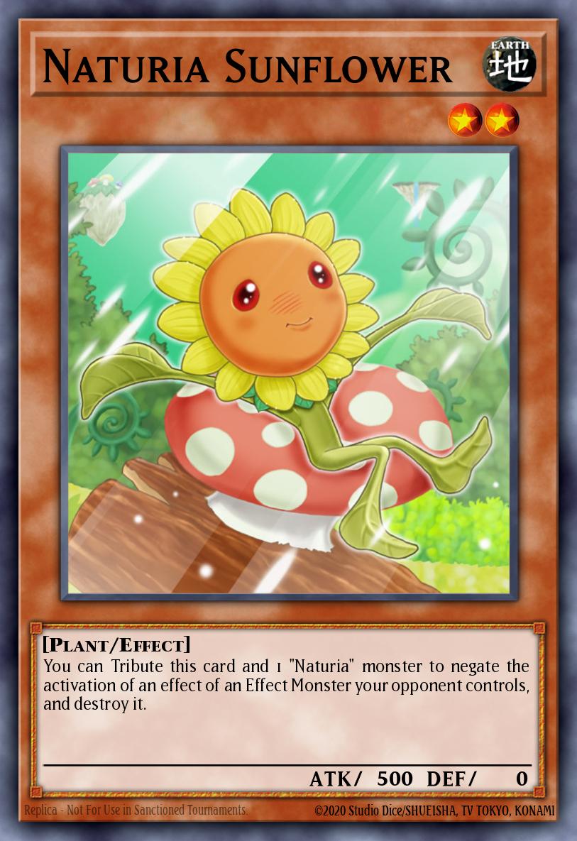 Girasol Naturia