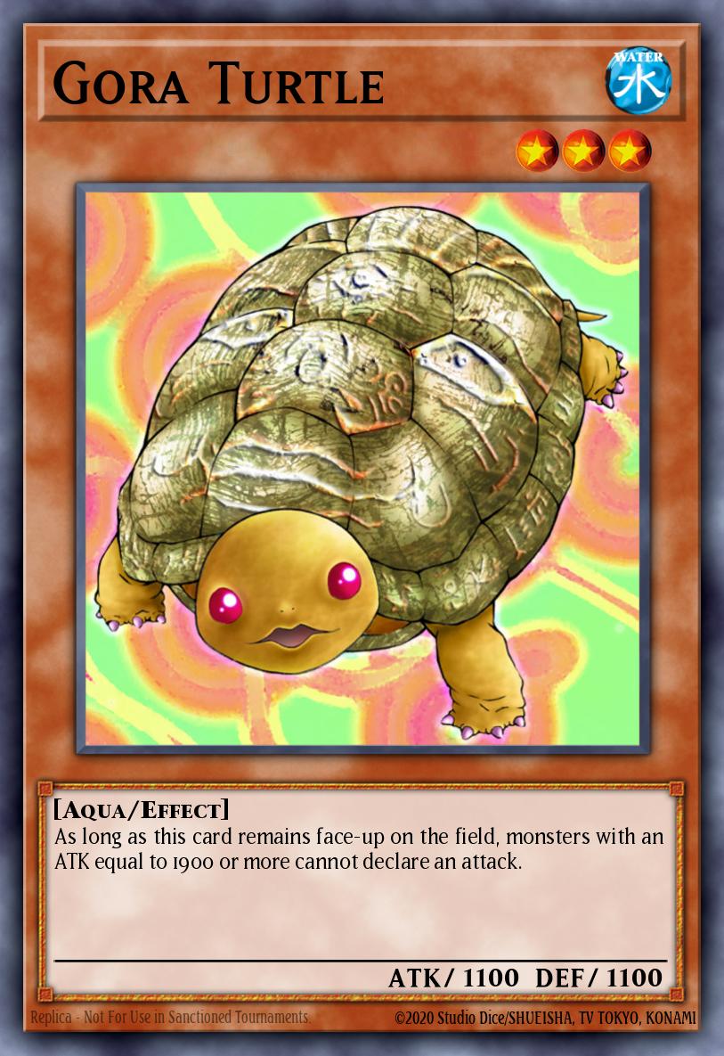 Tortuga Gora