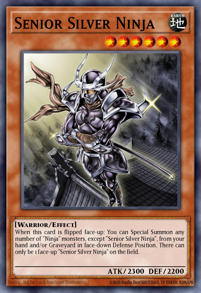 Ninja Plateado Superior