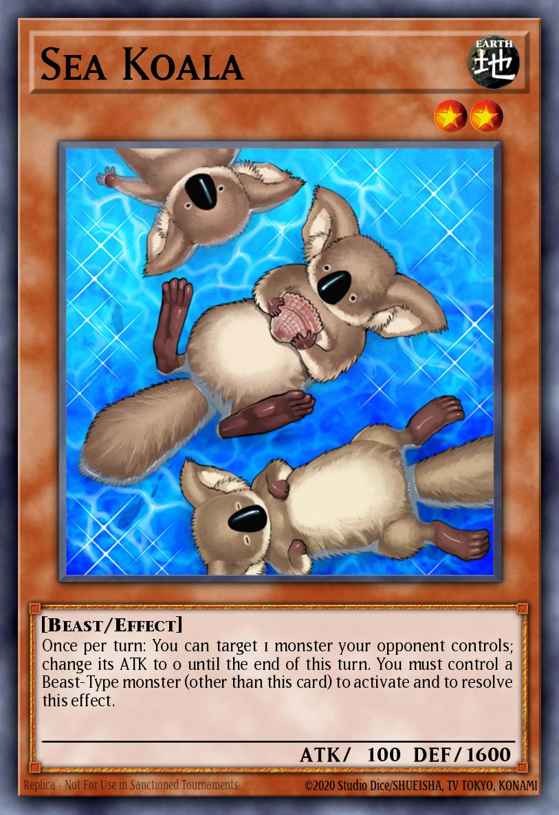 Koala Marino