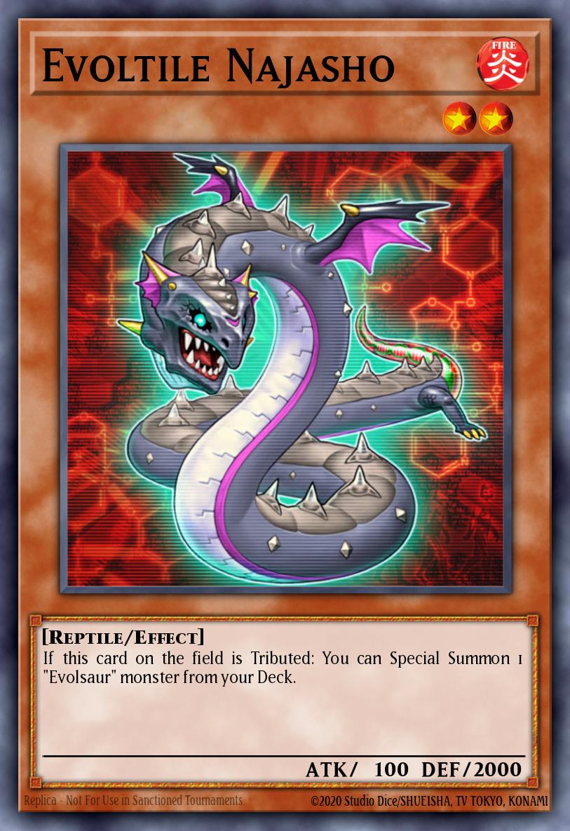 Najasho Evolutil
