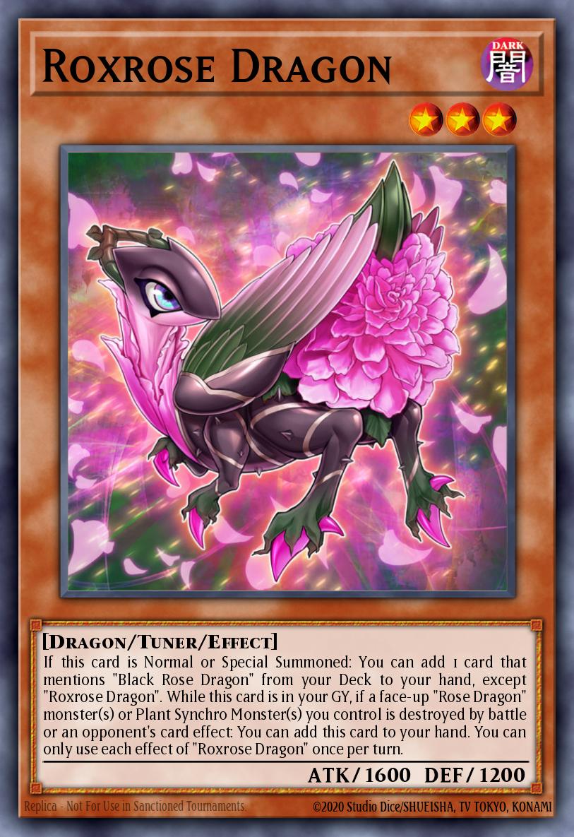 Dragón de la Rosa Rox