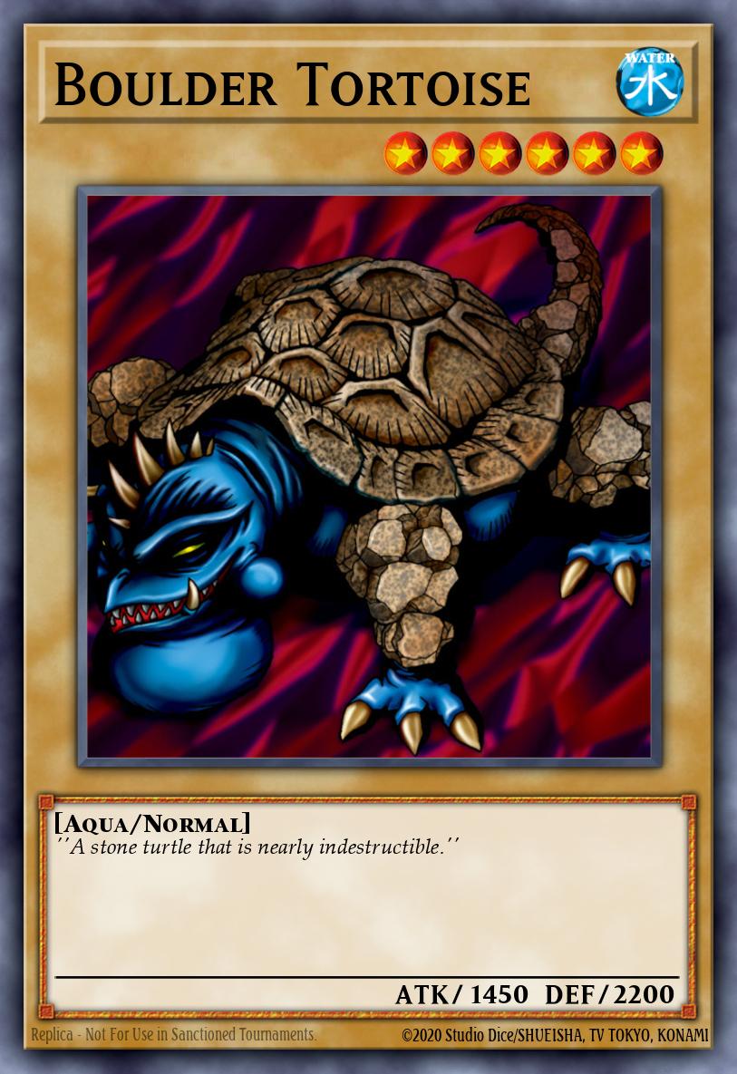 Tortuga de Boulder