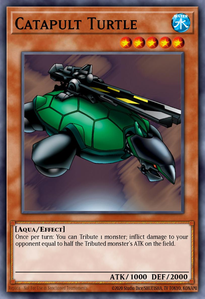 Tortuga Catapulta