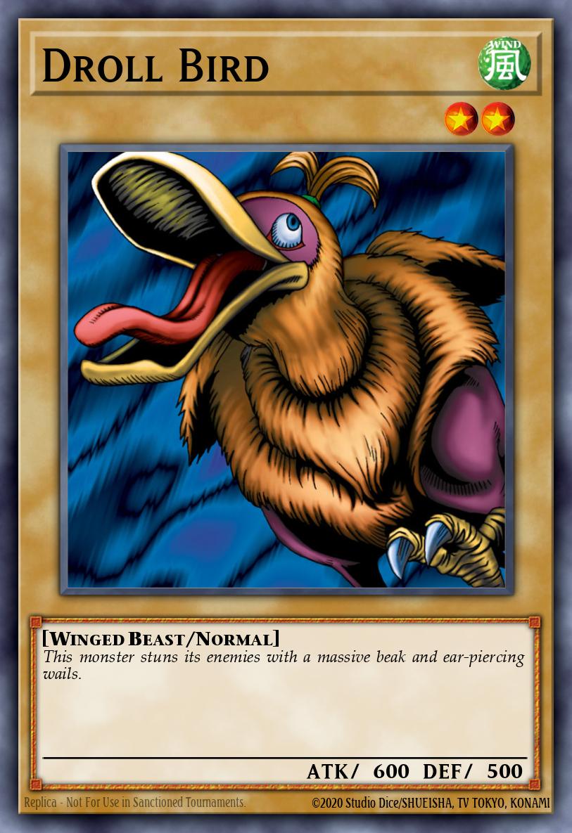 Bird gracioso