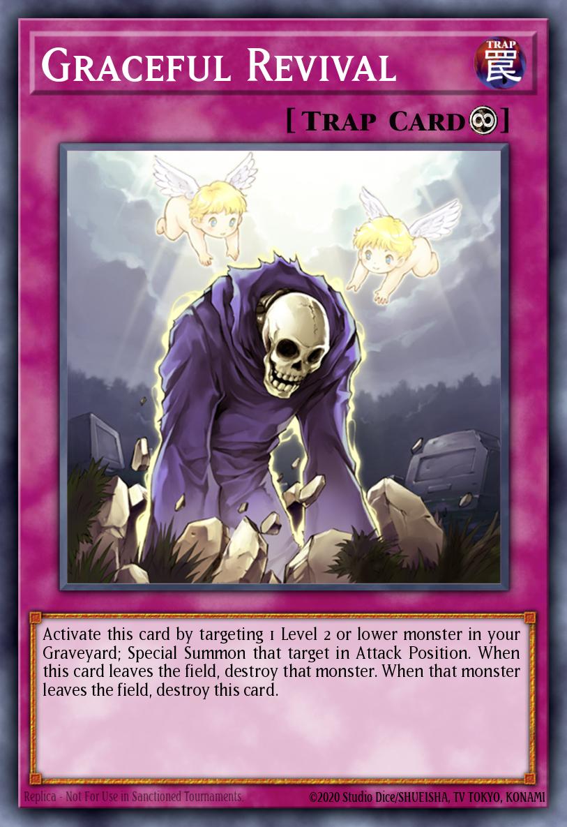 Reanimación Grácil