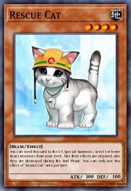 Gato Rescatador