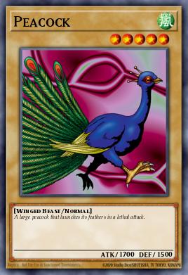 Pavo Real