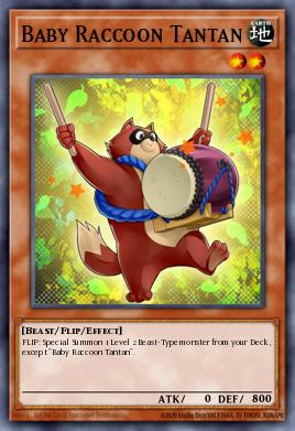 Mapache Bebé Tantan