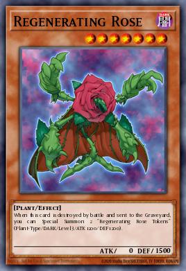 Rosa Regeneradora