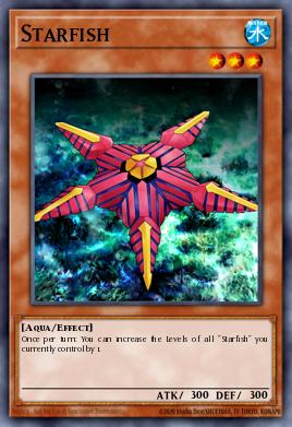 Estrella de Mar