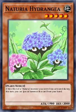 Hortensia Naturia