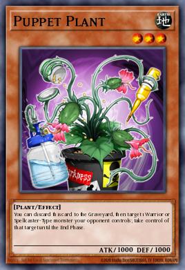Planta Títere