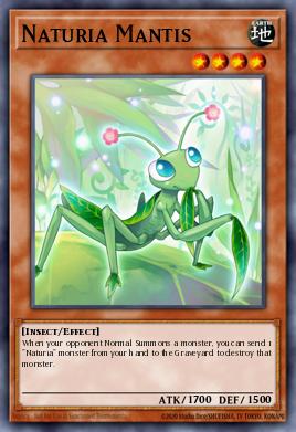 Mantis Naturia