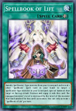 Libro de Magia de la Vida