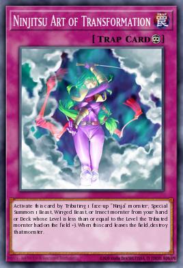 Ninjitsu Arte de la Transformación