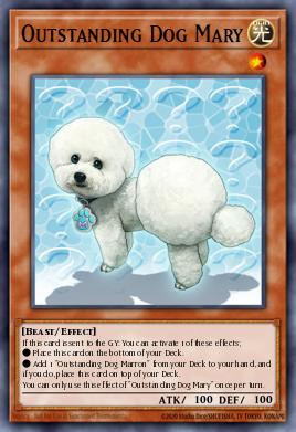 Perro Mary Excelente