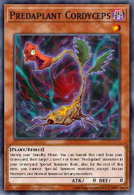 Predaplanta Cordyceps