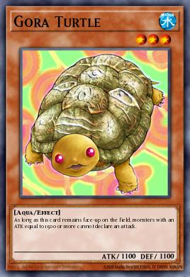 Tortuga Gora
