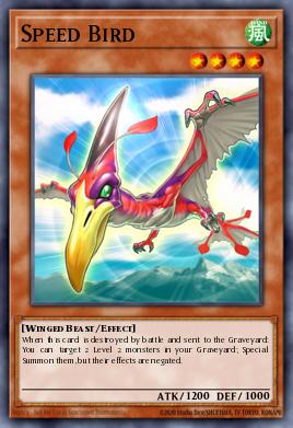 Pájaro Veloz