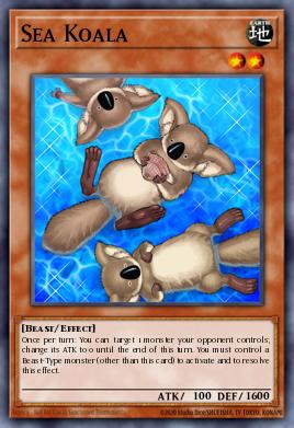 Koala Marino